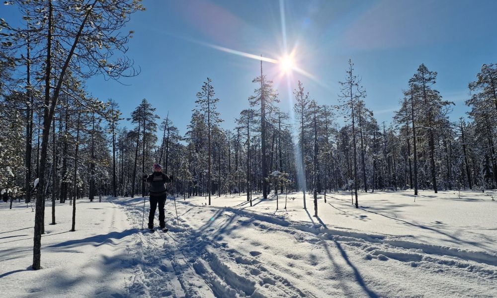 Hossa nationalpark skiing Värikallio